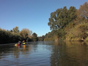 kayak-río-palmones-300x225